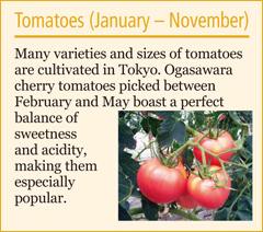 Tomatoes (January – November)
