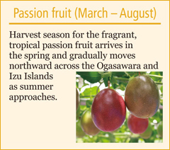 Passion fruit (March – August)

