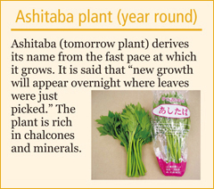 Ashitaba plant (year round)

