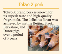 Tokyo X pork
