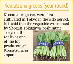 Komatsuna greens (year round)
