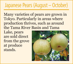 Japanese Pears (August – October)
