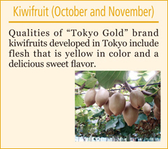 Kiwifruit (October and November)
