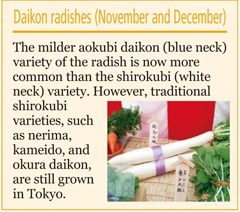 Daikon radishes (November and December)
