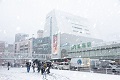 东京大雪的照片