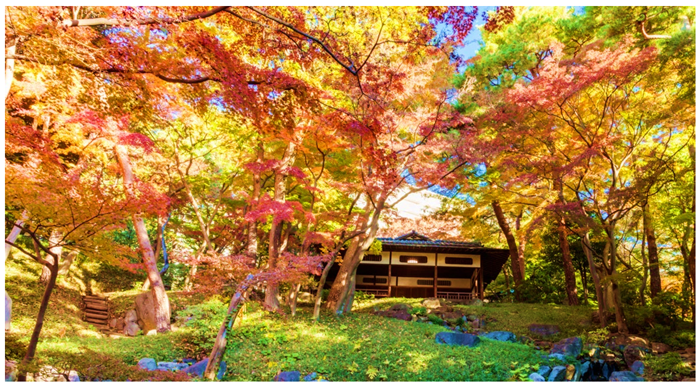 200本のもみじが彩る殿ヶ谷戸庭園 秋の催し|9月|都庁総合ホームページ