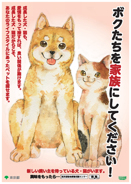 11月は都の動物譲渡促進月間です|10月|都庁総合ホームページ