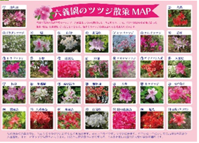 写真5