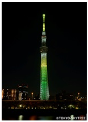 写真1
