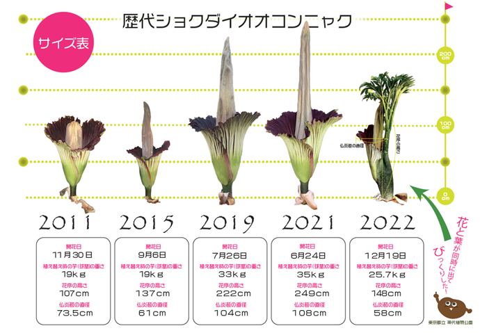歴代ショクダイオオコンニャクの画像
