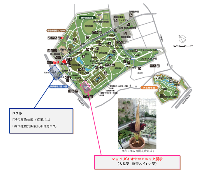 園内マップの画像