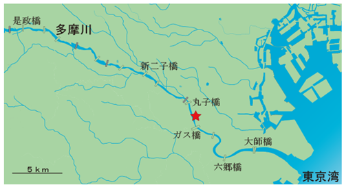 地図の画像