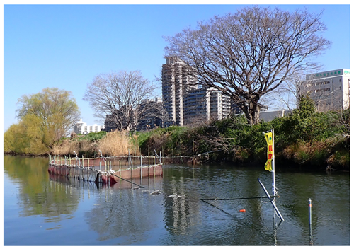 写真1