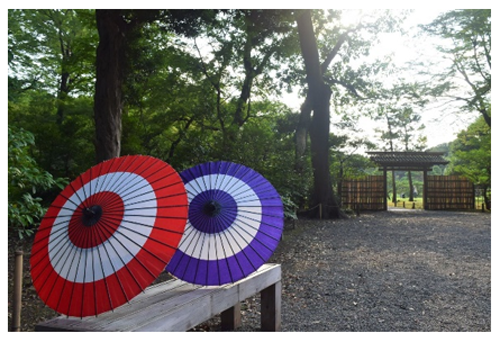 写真2