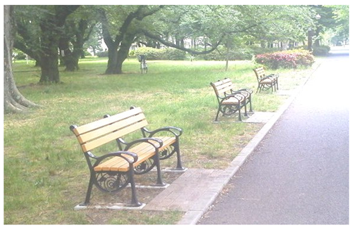 写真