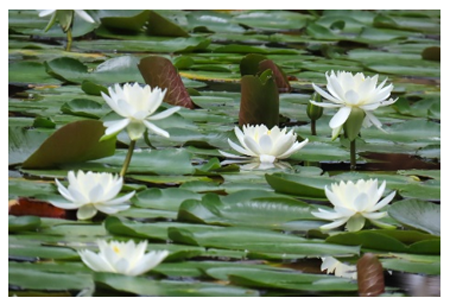 写真4