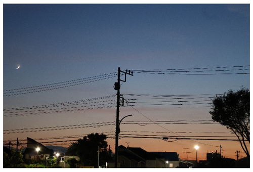 写真1