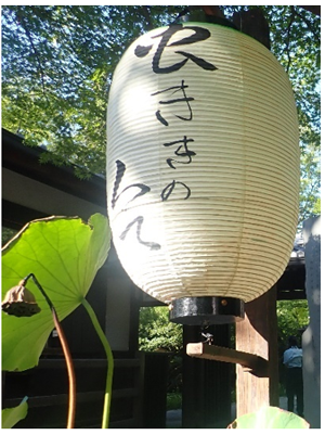 写真1
