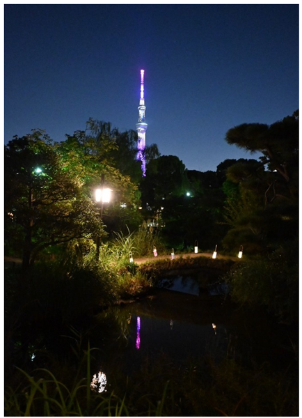 写真5