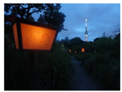 写真17