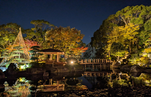 写真1
