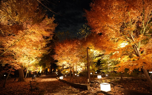写真2