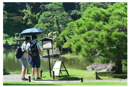 写真1