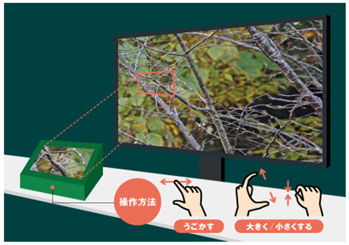 画像2