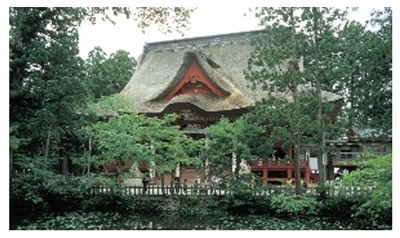 写真4
