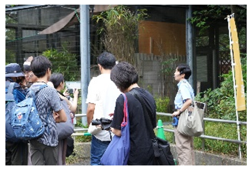 写真19