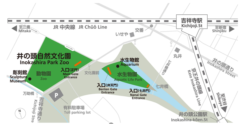 地図の画像