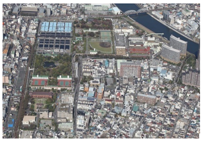 写真2
