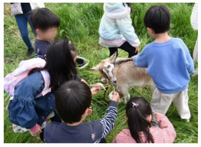 写真3
