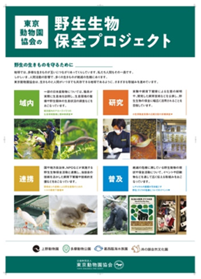 パネルの画像