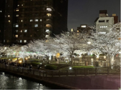 写真1