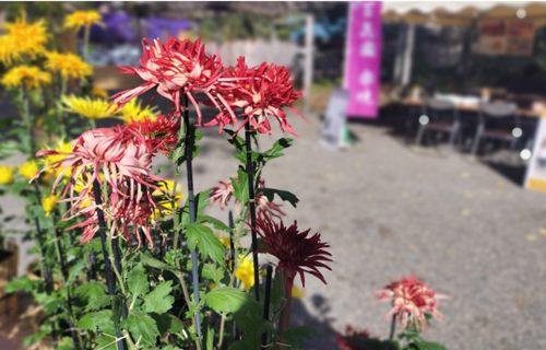 写真2