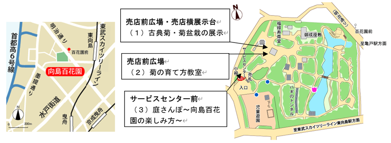 園内マップの画像