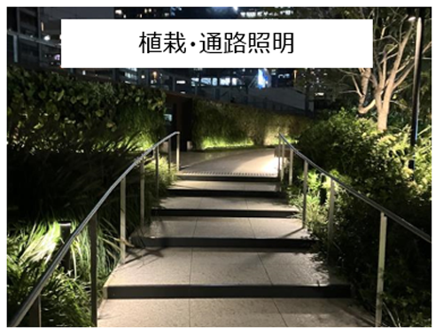 写真2