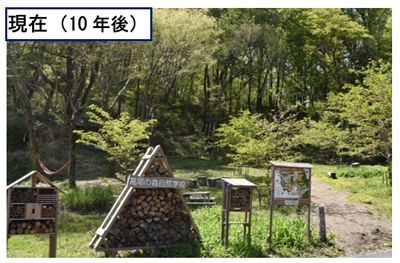 写真3