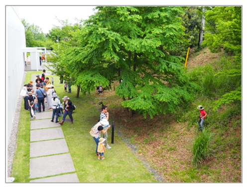 写真1