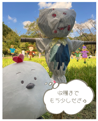画像16