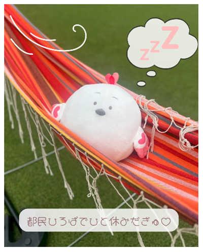 画像17