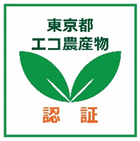 ロゴ画像