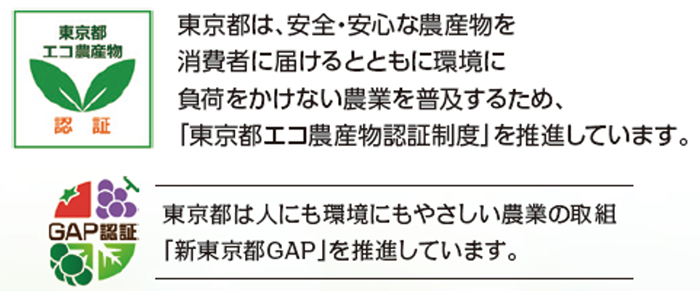 バナー画像1