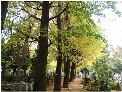 写真2