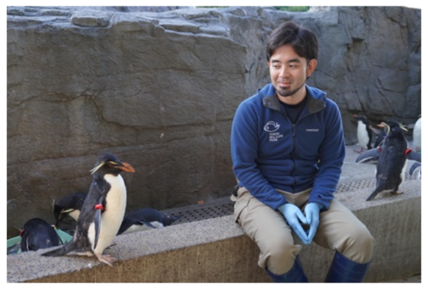 写真：イワトビペンギンと吉本飼育員