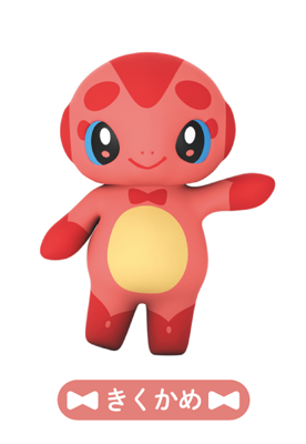 きくかめの画像