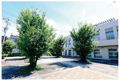 目白聖母キャンパスの写真