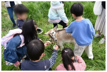 プログラムの写真4