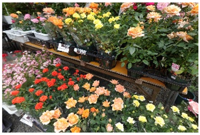 ローズガーデンマーケットの写真1